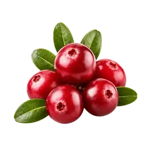Arándano rojo